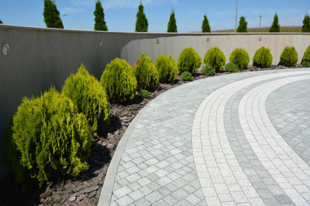 Best Decorative Driveway Pavers  in Pine Island, TX